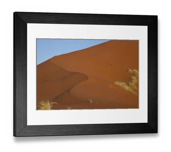 Framed Print : Namibia, Namib Desert, Namib Naukluft Park. Grasses on smooth sand dune Framed Print : Namibia, Namib Desert, Namib Naukluft Park. Grasses on smooth sand dune