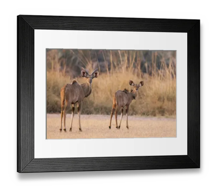 Framed Print : Africa, Namibia Framed Print : Africa, Namibia