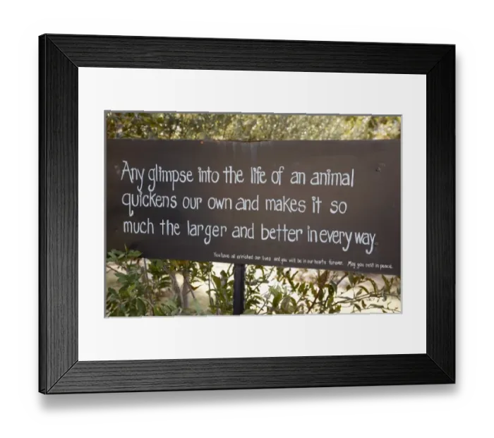 Framed Print : Africa, Namibia