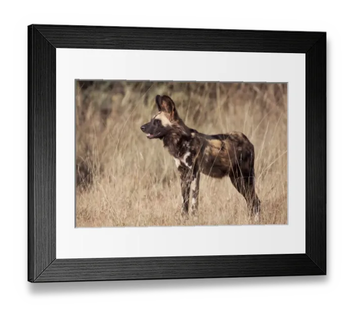 Framed Print : Africa, Namibia