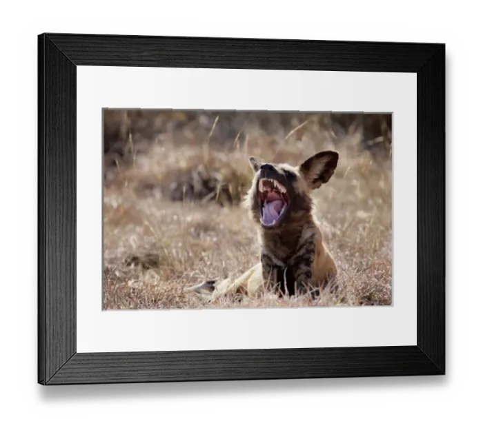 Framed Print : Africa, Namibia Framed Print : Africa, Namibia