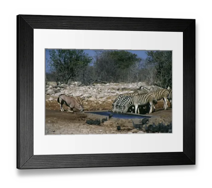 Framed Print : Africa, Namibia Framed Print : Africa, Namibia