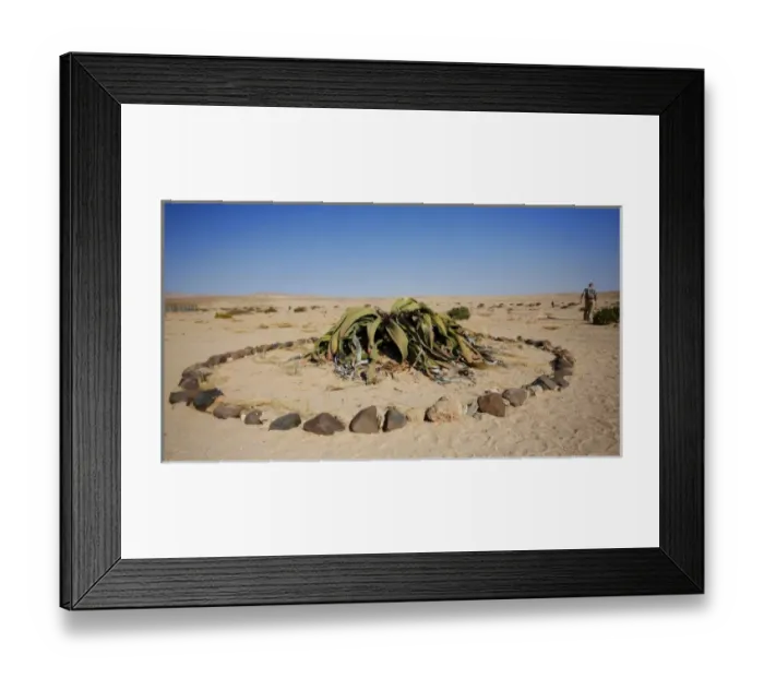 Framed Print : Africa, Namibia