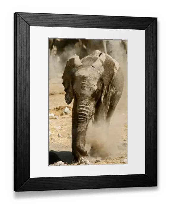 Framed Print : Africa, Namibia