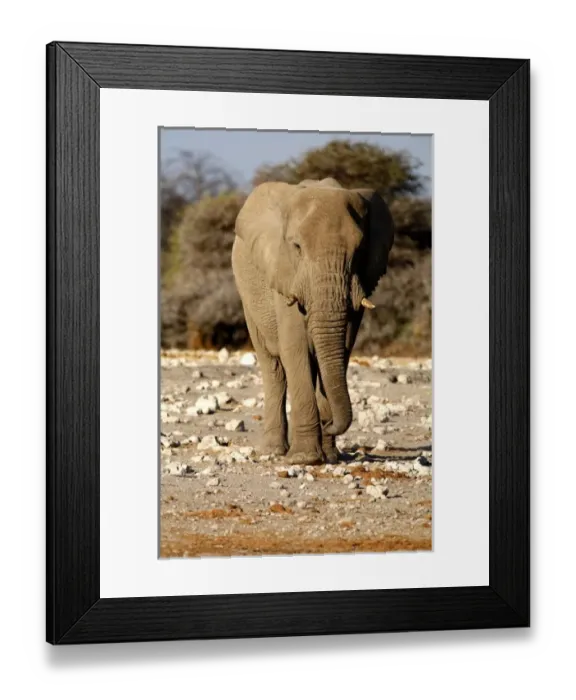 Framed Print : Africa, Namibia Framed Print : Africa, Namibia