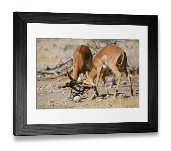 Framed Print : Africa, Namibia