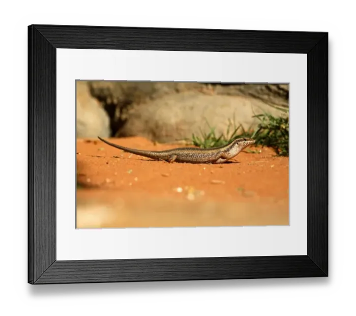 Framed Print : Africa, Namibia