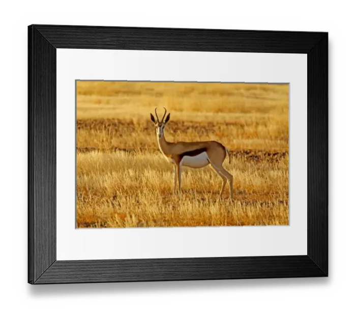 Framed Print : Africa, Namibia Framed Print : Africa, Namibia