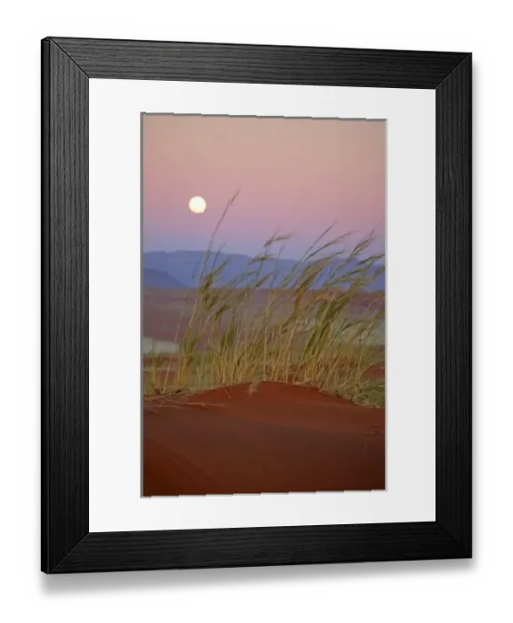 Framed Print : Africa, Namibia, Sossusvlei. The full moon rises over the NamibRand Nature Reserve in Sossusvlei Framed Print : Africa, Namibia, Sossusvlei. The full moon rises over the NamibRand Nature Reserve in Sossusvlei
