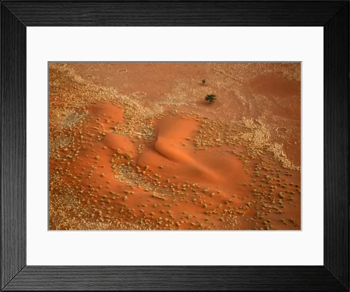 Framed Print : Africa, Namibia, Sossusvlei. Aerial view of red dunes, grasses, fairy circles