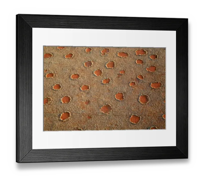Framed Print : Africa, Namibia, Sossusvlei. Aerial view of fairy circles dotting the landscape of