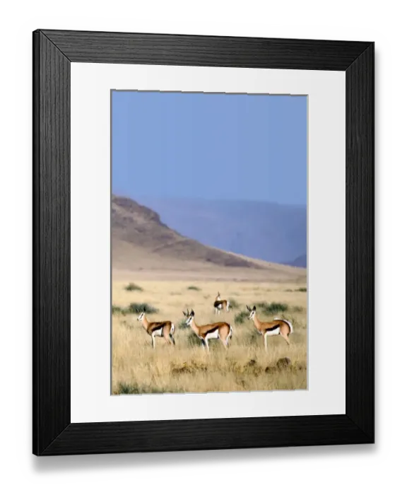 Framed Print : Africa, Namibia