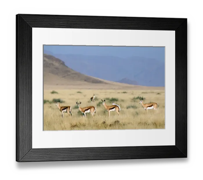 Framed Print : Africa, Namibia