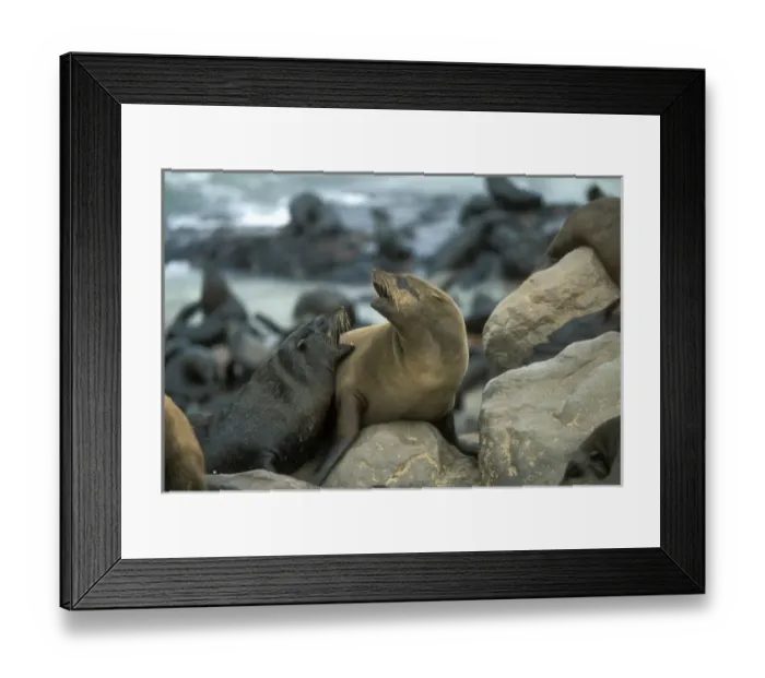 Framed Print : Africa, Namibia Framed Print : Africa, Namibia