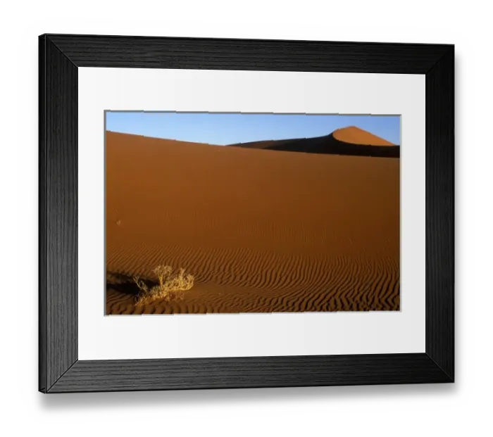 Framed Print : Africa, Namibia, Namib Naukluft National Park, Evening sun lights dead brush on sand Framed Print : Africa, Namibia, Namib Naukluft National Park, Evening sun lights dead brush on sand