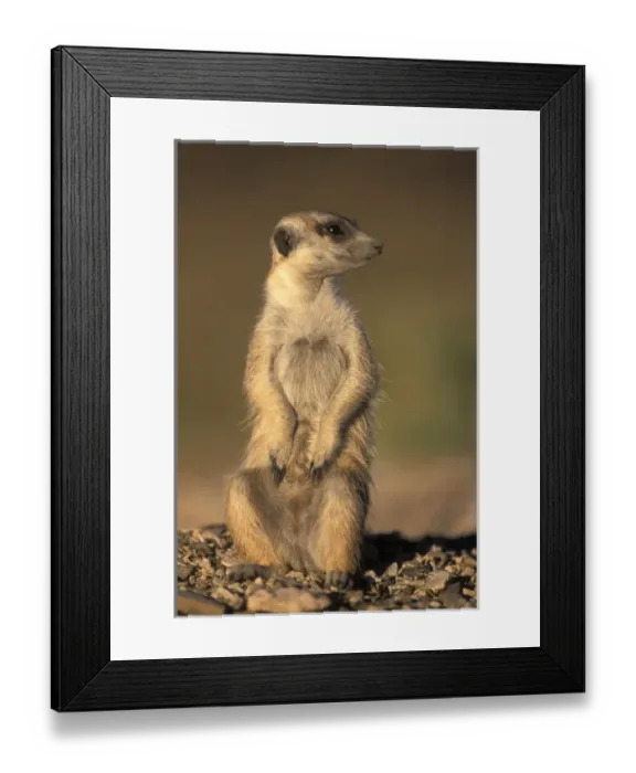 Framed Print : Africa, Namibia
