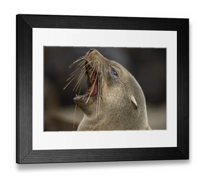 Framed Print : Africa, Namibia Framed Print : Africa, Namibia