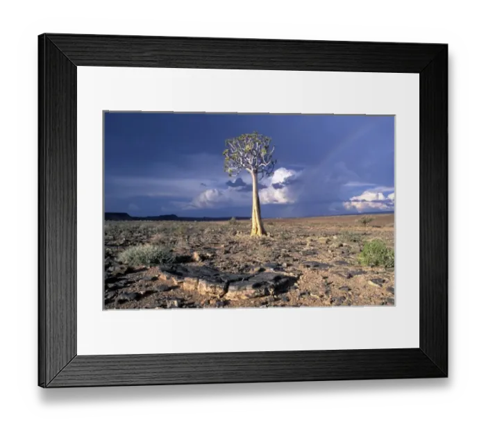 Framed Print : Namibia, Fish River Canyon Nat l Park, Afternoon thunderstorm over desert near