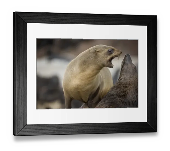 Framed Print : Africa, Namibia Framed Print : Africa, Namibia