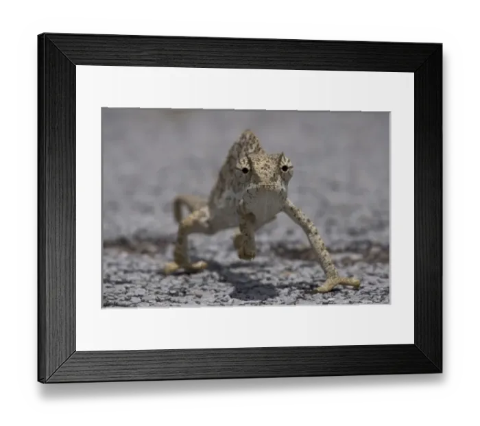 Framed Print : Africa, Namibia