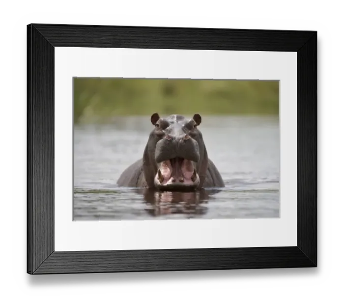 Framed Print : Africa, Namibia Framed Print : Africa, Namibia