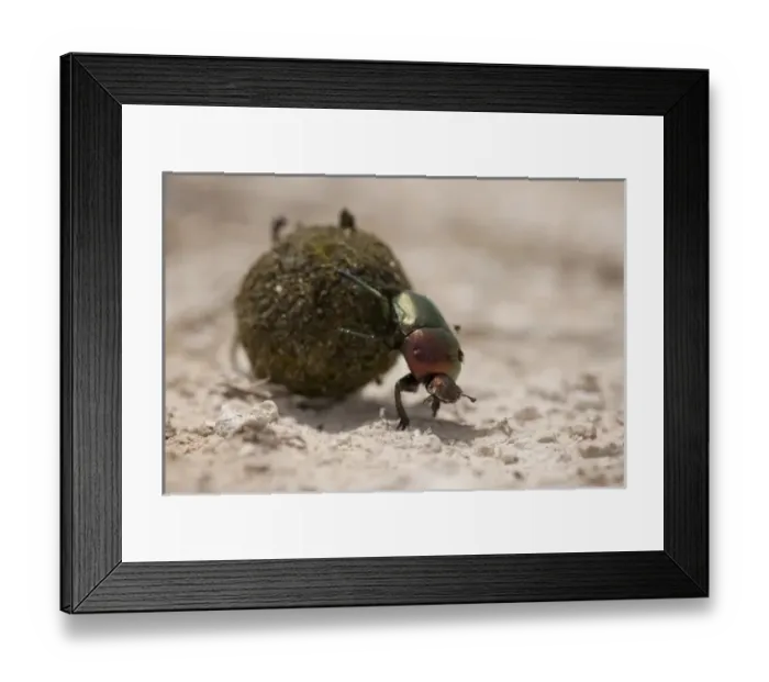 Framed Print : Africa, Namibia Framed Print : Africa, Namibia