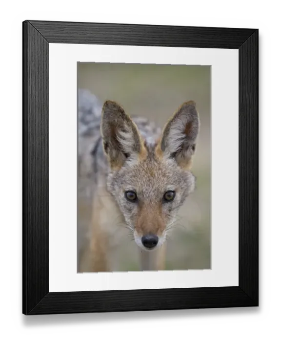 Framed Print : Africa, Namibia