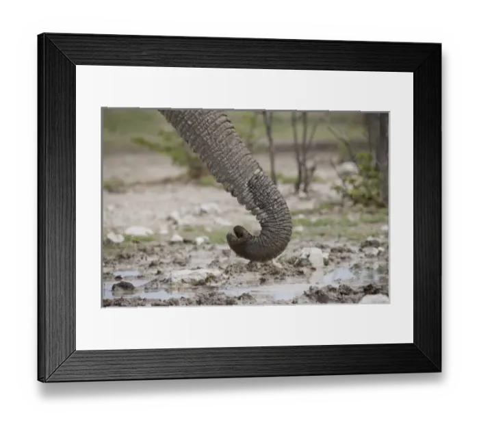 Framed Print : Africa, Namibia Framed Print : Africa, Namibia