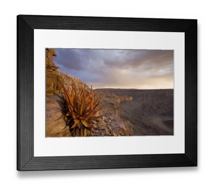 Framed Print : Namibia, Fish River Canyon National Park, Hardy desert plants on rocky slopes above Framed Print : Namibia, Fish River Canyon National Park, Hardy desert plants on rocky slopes above