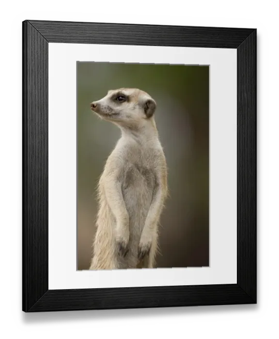 Framed Print : Africa, Namibia Framed Print : Africa, Namibia