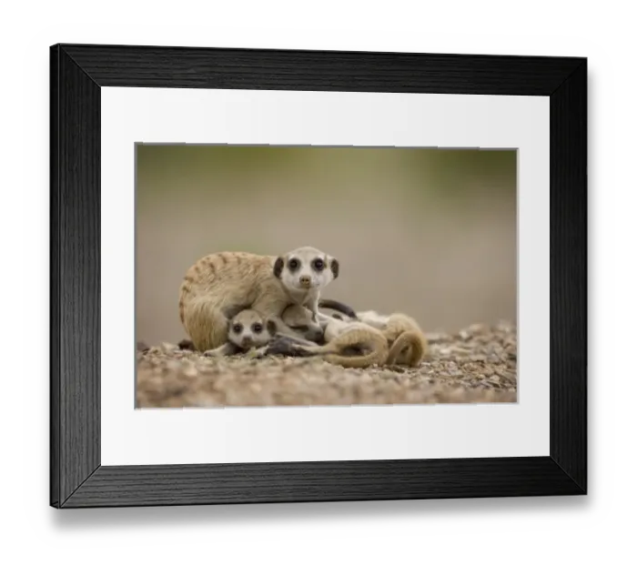 Framed Print : Africa, Namibia Framed Print : Africa, Namibia