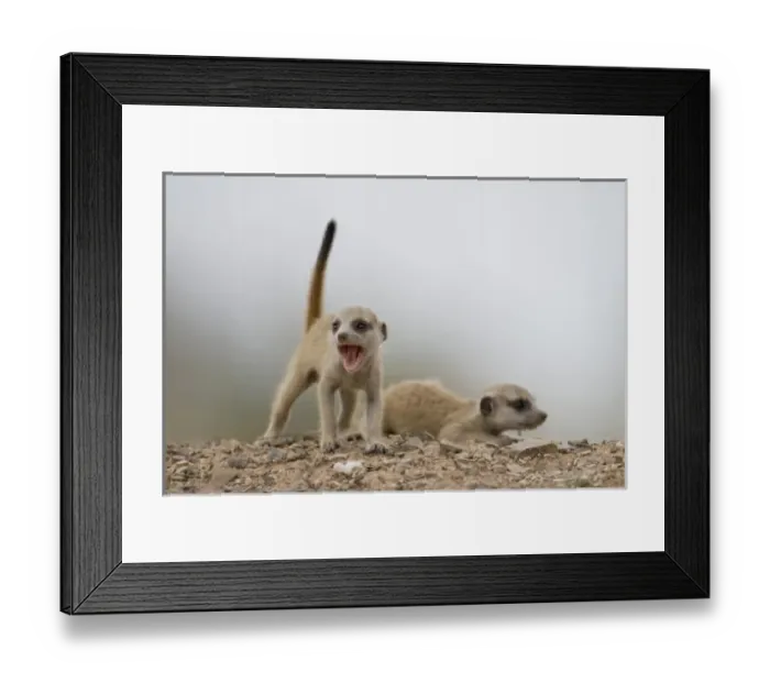 Framed Print : Africa, Namibia Framed Print : Africa, Namibia