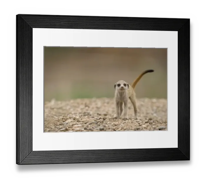 Framed Print : Africa, Namibia Framed Print : Africa, Namibia