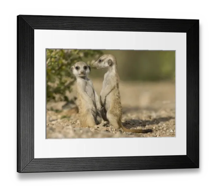 Framed Print : Africa, Namibia Framed Print : Africa, Namibia