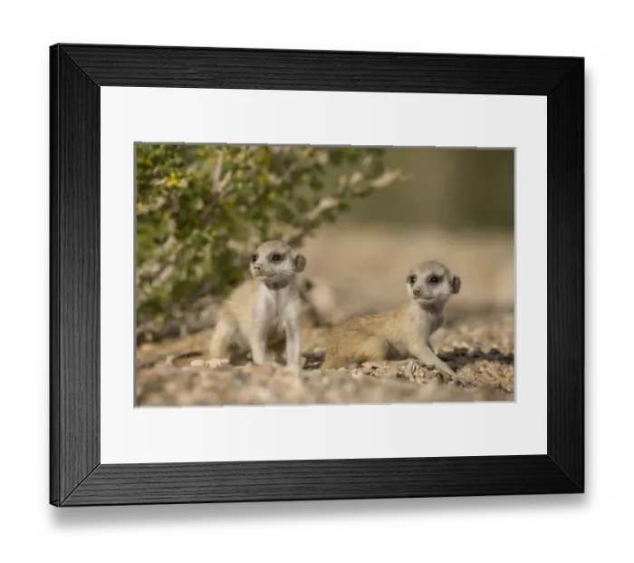 Framed Print : Africa, Namibia Framed Print : Africa, Namibia