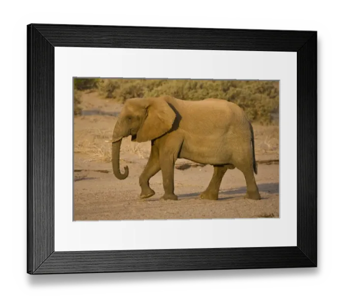 Framed Print : Africa, Namibia
