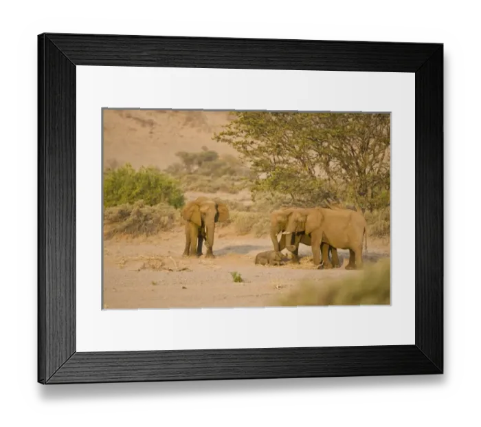 Framed Print : Africa, Namibia