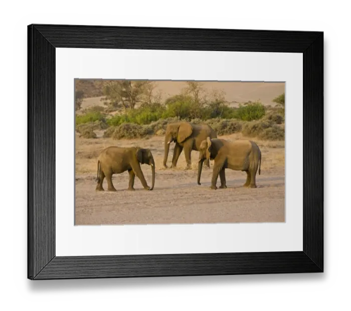 Framed Print : Africa, Namibia Framed Print : Africa, Namibia