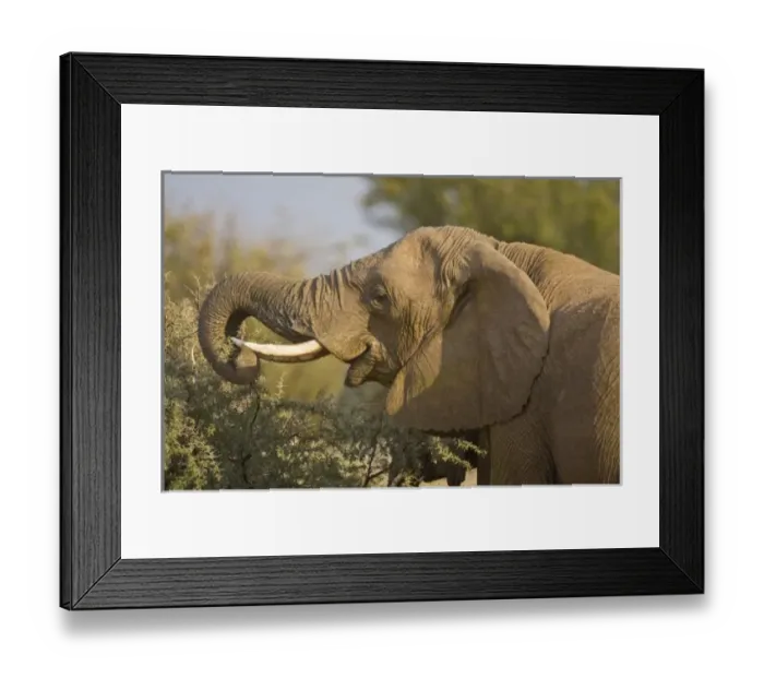 Framed Print : Africa, Namibia Framed Print : Africa, Namibia