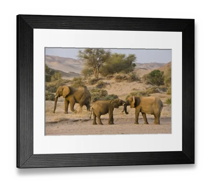 Framed Print : Africa, Namibia Framed Print : Africa, Namibia