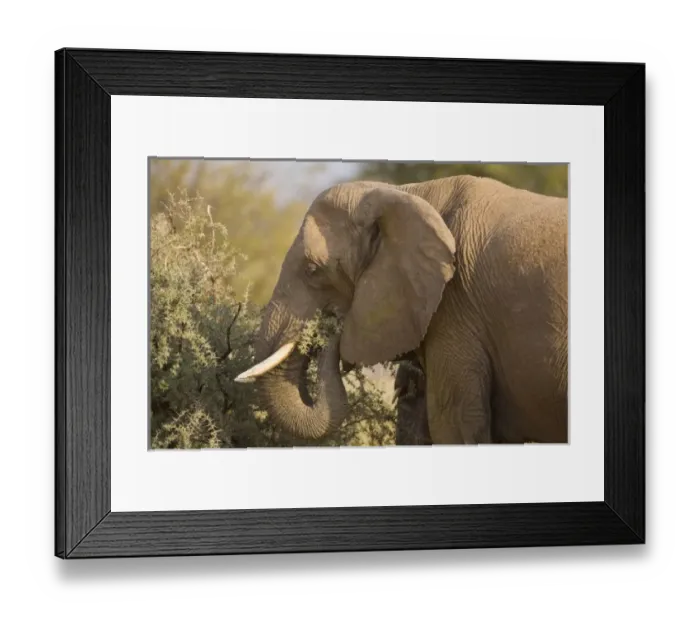 Framed Print : Africa, Namibia