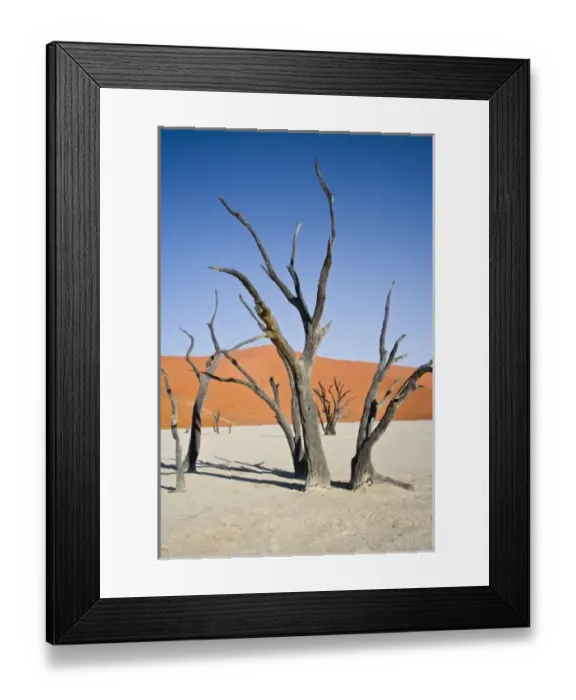 Framed Print : Dead trees at Deadvlei, Namib-Nauklift NP, Namibia Framed Print : Dead trees at Deadvlei, Namib-Nauklift NP, Namibia