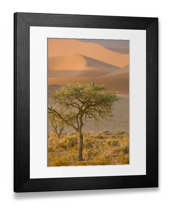 Framed Print : Africa, Namibia Framed Print : Africa, Namibia