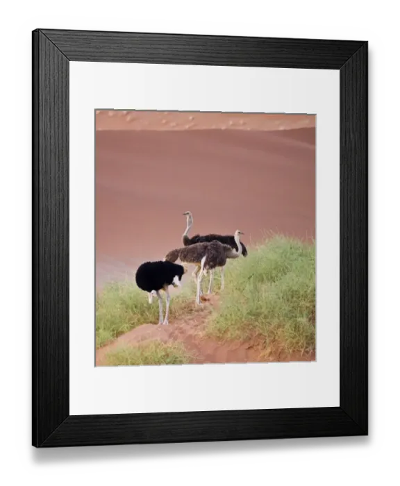 Framed Print : Africa, Namibia Framed Print : Africa, Namibia