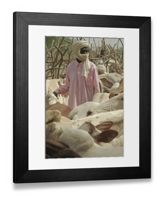 Framed Print : Niger, Boubon, market Framed Print : Niger, Boubon, market