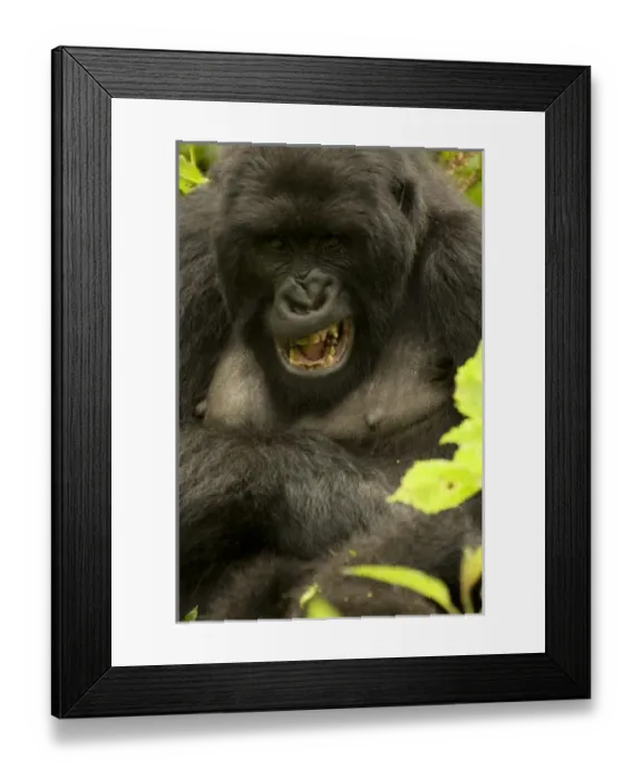 Framed Print : Africa, Rwanda Framed Print : Africa, Rwanda