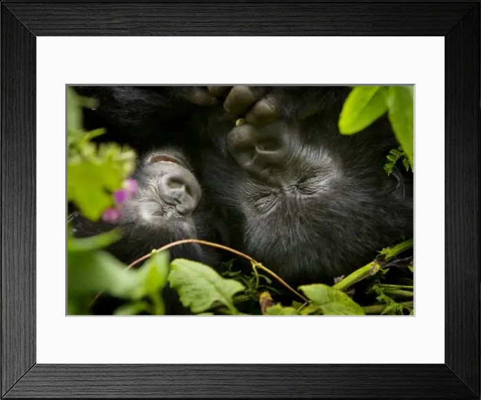 Framed Print : Africa, Rwanda Framed Print : Africa, Rwanda