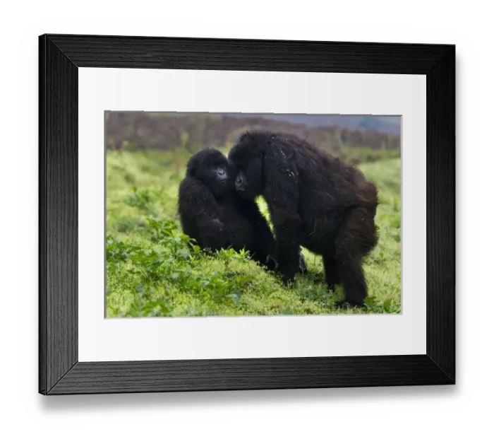 Framed Print : Africa, Rwanda Framed Print : Africa, Rwanda