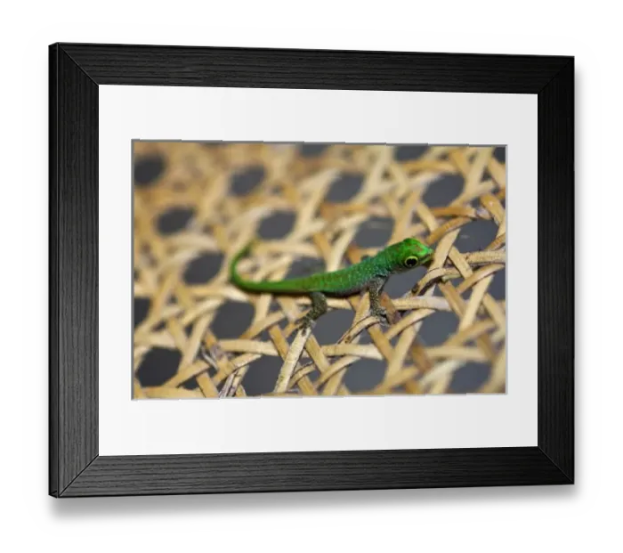 Framed Print : Africa, Seychelles