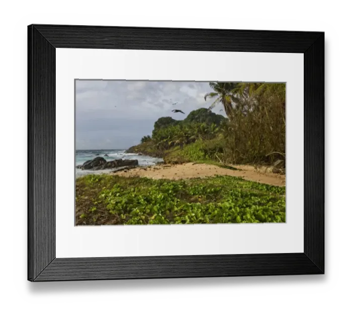 Framed Print : Africa, Seychelles Framed Print : Africa, Seychelles